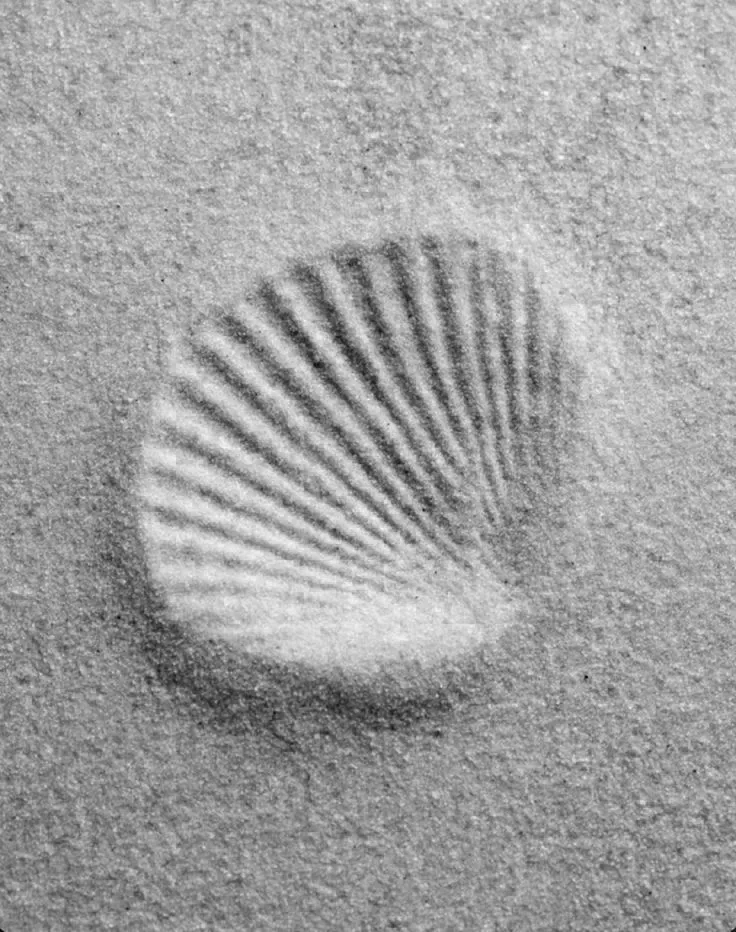 Femininity_disorder_digital_agency_3