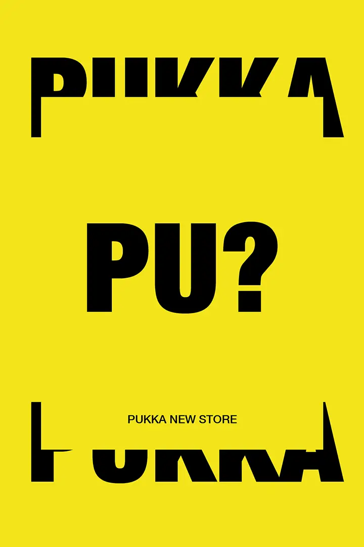 pukka_disorder_digital_agency_2