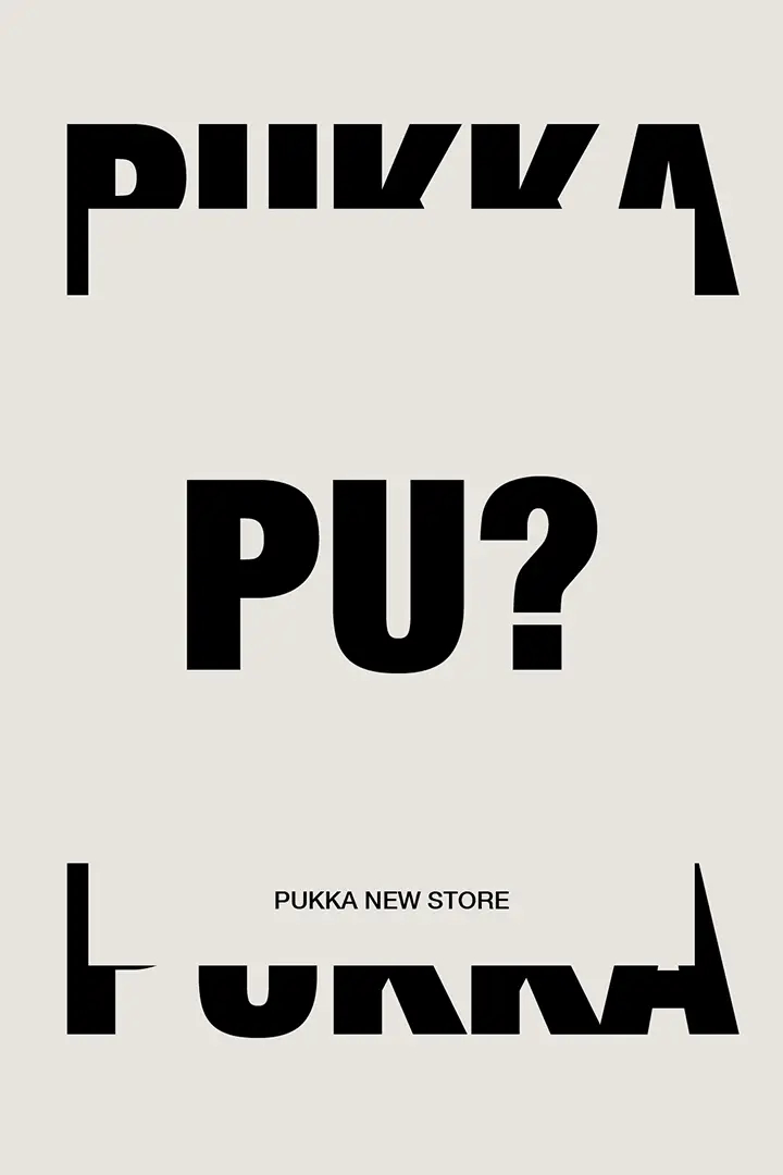 pukka_disorder_digital_agency_3