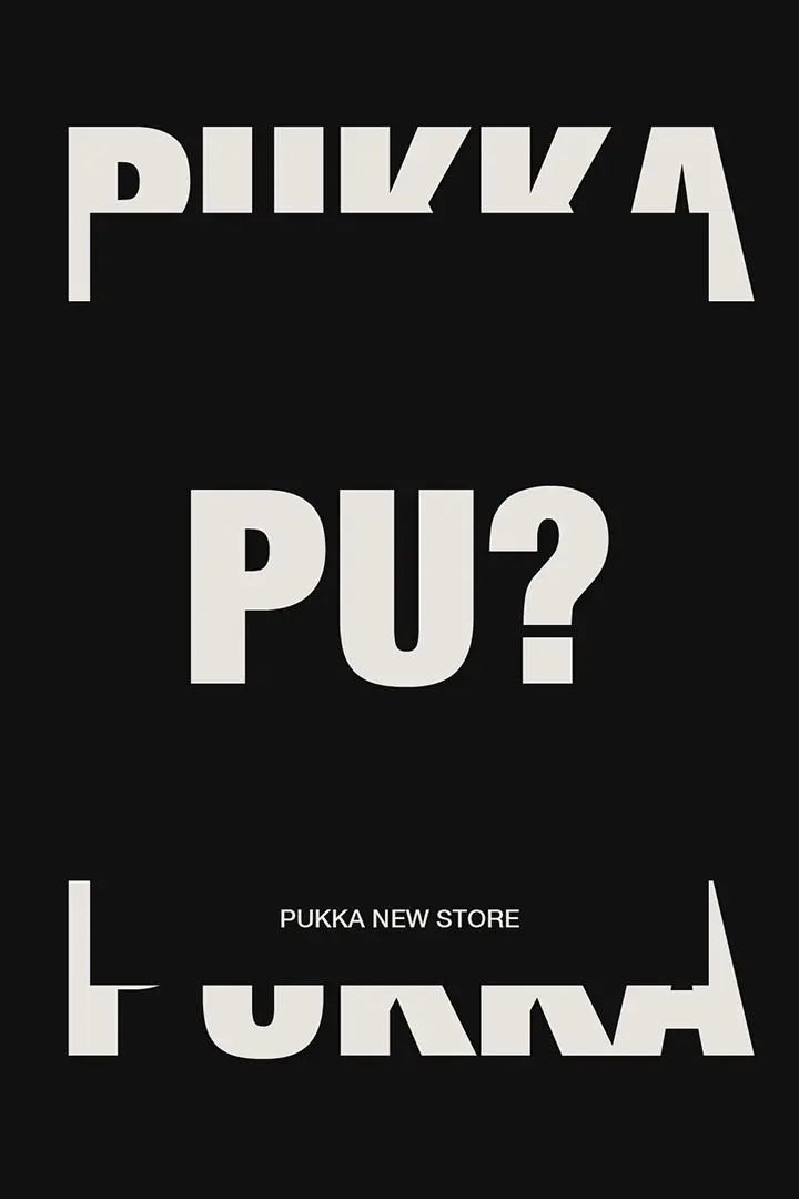 pukka_disorder_digital_agency_4